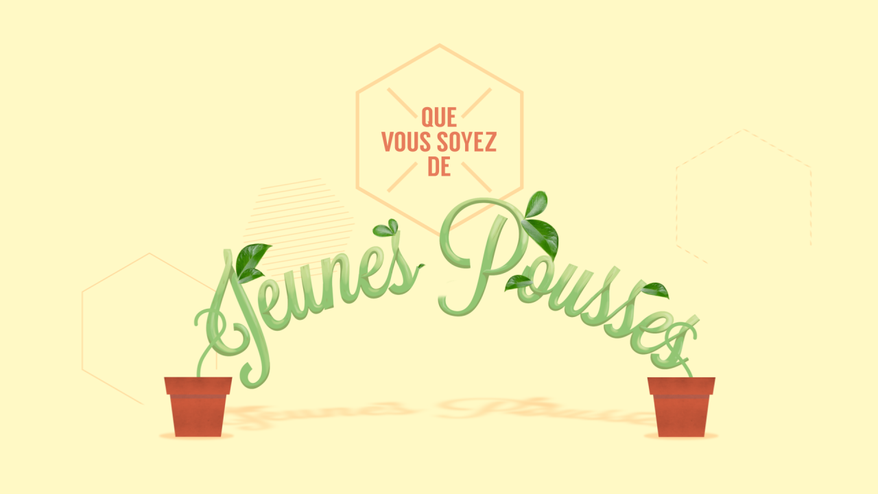 Voeux 2015
