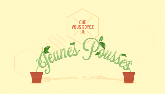 Voeux 2015