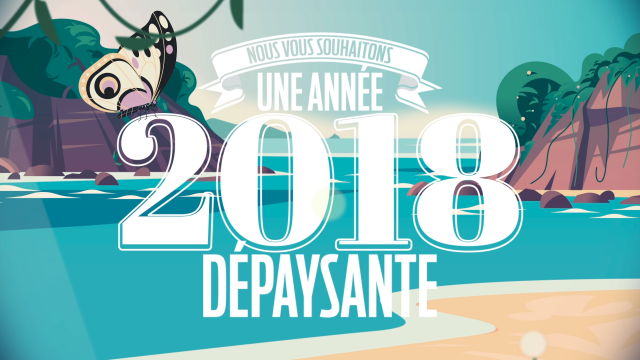 Bonne année 2018